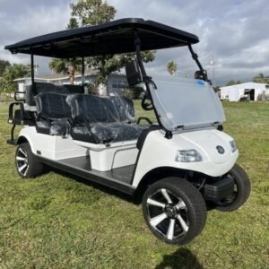 evolution carrier 6 plus 6 seater electric cart for sale.jpg